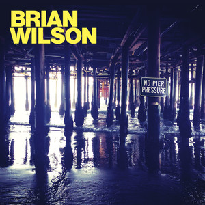 Brian Wilson: 永遠の天才 ブライアン・ウィルソン: 光と闇の全軌跡
