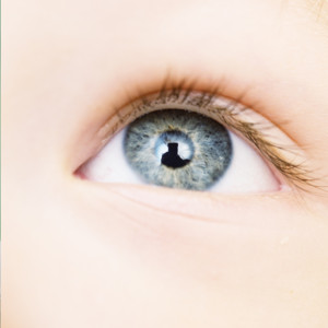 Through My Little Eyes