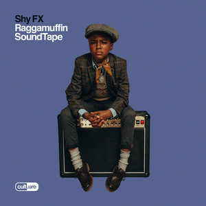 Écouter "Bye Bye Bye" de Shy FX