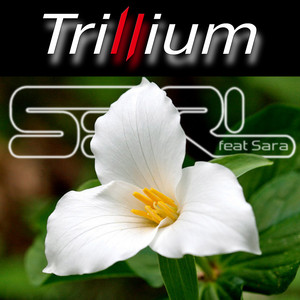 Écouter "Trillium - DJ Edit" de S3RL