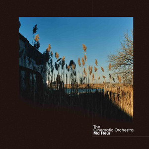 Écouter "That Home" de The Cinematic Orchestra