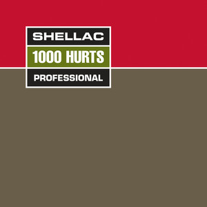 Shellac 1000 Hurts アナログレコード LP 輸入盤 Shellac 1000 Hurts