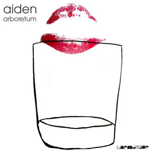 Aiden