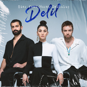 Delil