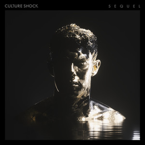 Écouter "Lost" de Culture Shock