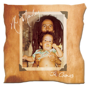 DAMIAN JR. GONG MARLEY / MR. MARLEY [LP - 54177]：REGGAE：アナログ