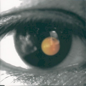 黑色柳丁 (Black Tangerine) — David Tao