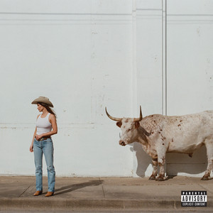 Cover artwork for Uncertain, TX by Kacey Musgraves