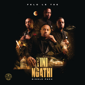 Écouter "Yini Ngathi (Insane)" de LeeMcKrazy