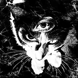 日版CD】東京酒吐座《Remains》Tokyo Shoegazer 日本瞪鞋– 爛調唱片