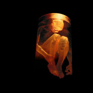 Écouter "What the Hell Have I" de Alice In Chains