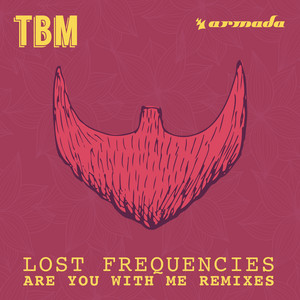 Écouter "Are You With Me - Harold van Lennep Piano Edit" de Lost Frequencies