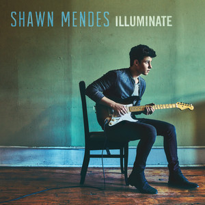 Écouter "Roses" de Shawn Mendes