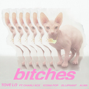Écouter "bitches" de Icona Pop