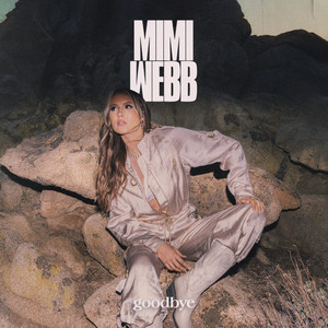 Mimi Webb — Goodbye artwork