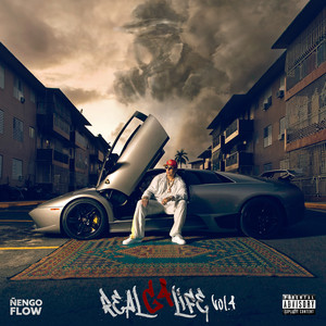 Écouter "Gato de Noche" de Ñengo Flow