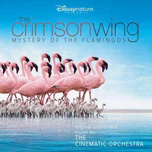 Écouter "First Light" de The Cinematic Orchestra