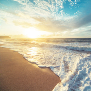 Ocean Comes and Goes