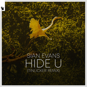 Hide U - Tinlicker Remix cover artwork