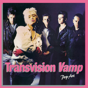 Transvision Vamp's Wendy James: 'We did to Warhol what he did to