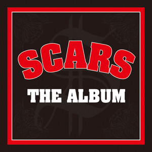 邦楽 SCARS THE ALBUM 2LP SCARS 