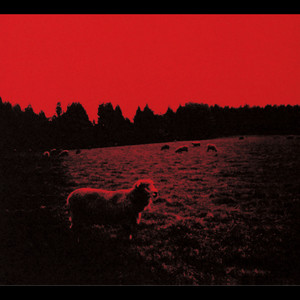 HELL-SEE (2LP)/syrup16g｜日本のロック｜ディスクユニオン