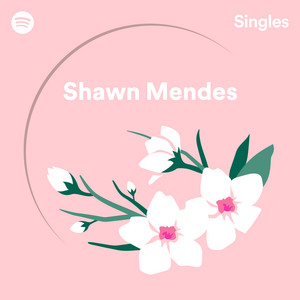 Écouter "Use Somebody - Recorded at Spotify Studios NYC" de Shawn Mendes