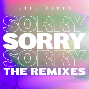 Écouter "Sorry - James Hype Remix" de James Hype