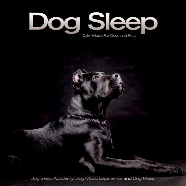 Dog Sleep album cover