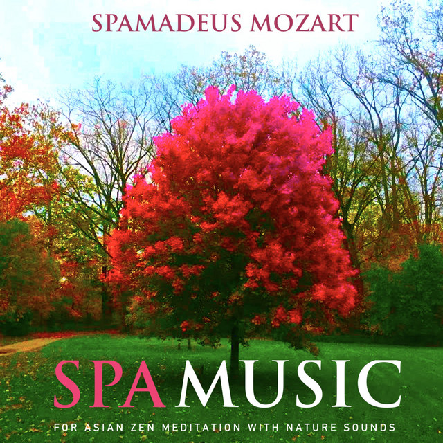 Spa Music for Asian Zen Meditation With Nature Sounds album cover