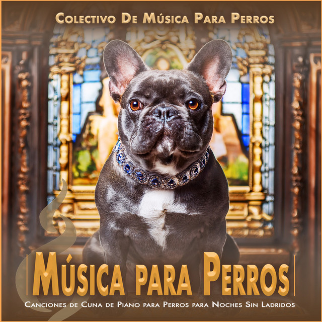 Música para Perros album cover