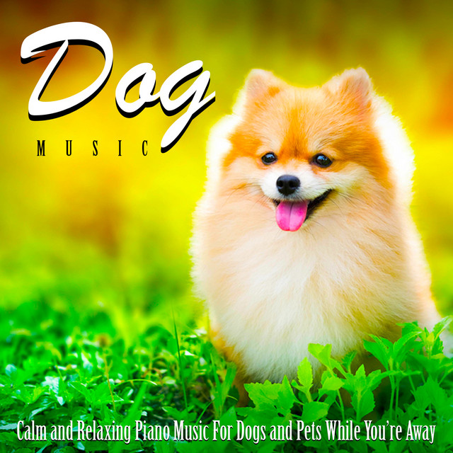 Dog Music album cover