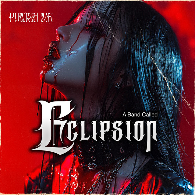Punish Me cover art