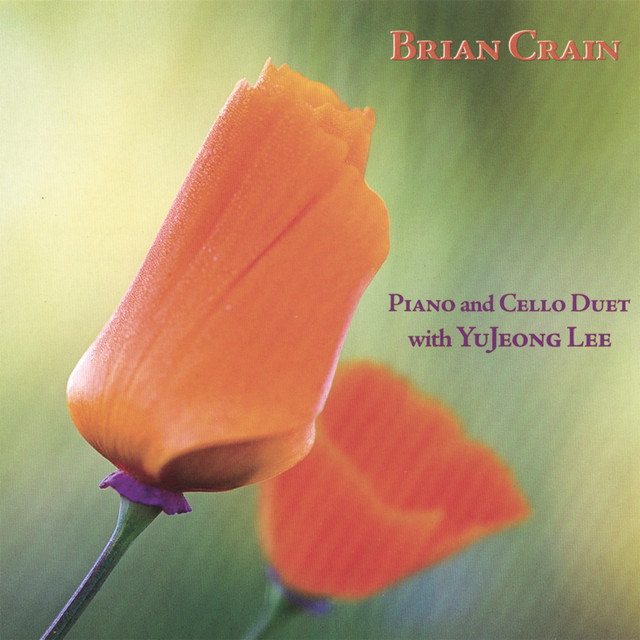 Piano and Cello Duet album cover by Brian Crain
