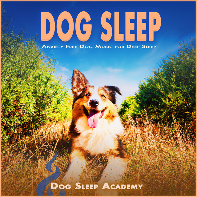 Dog Sleep album cover
