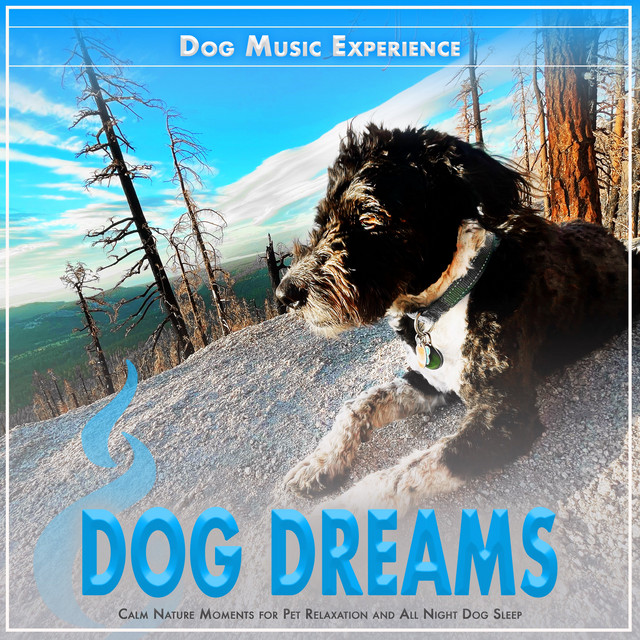 Dog Dreams album cover
