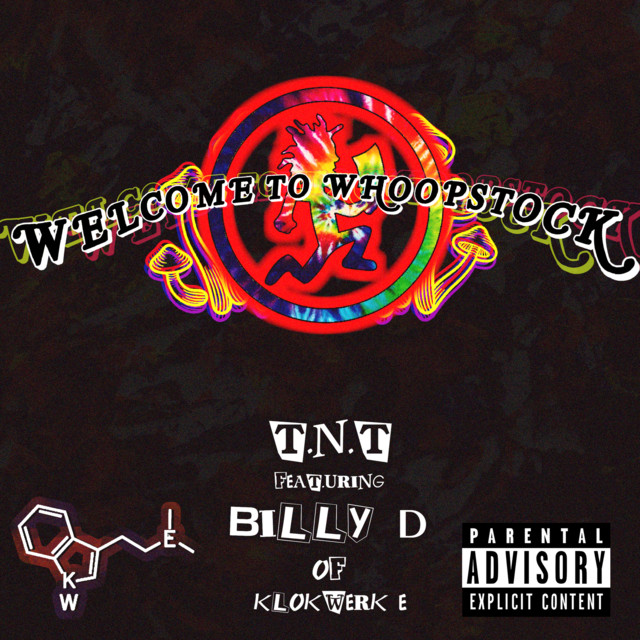 Welcome to Whoopstock album cover art