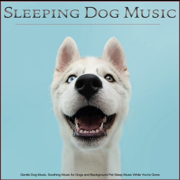 Sleeping Dog Music album cover