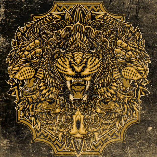 Ciconia - Animal Chapters