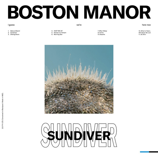 Sundiver artwork