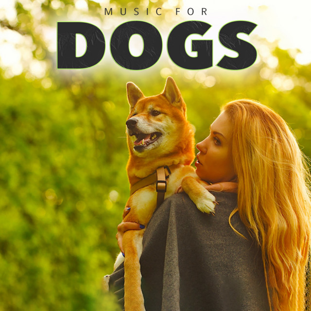 Music for Dogs: Relaxing Dog Music, Pet Relaxation, Music to Calm Your Dog While You’re Away and Music for Pets album cover