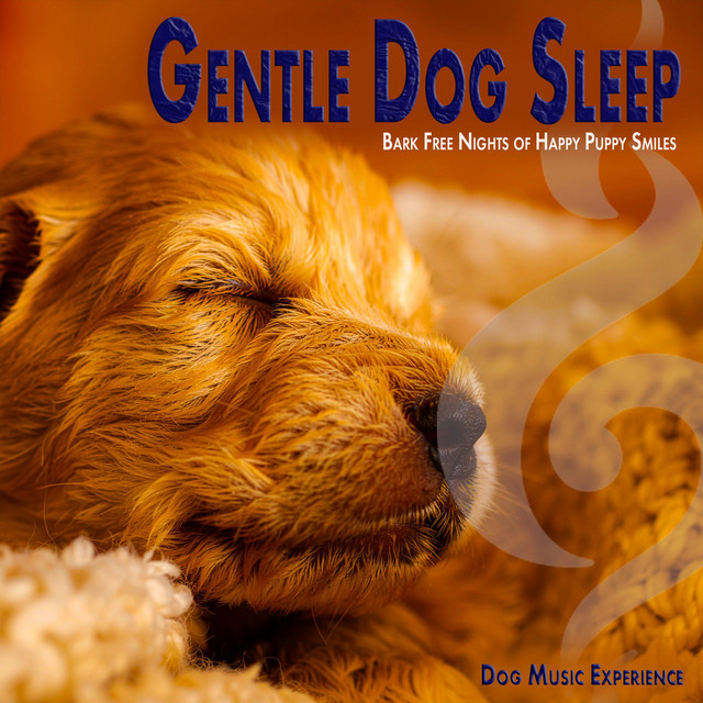 Gentle Dog Sleep album cover
