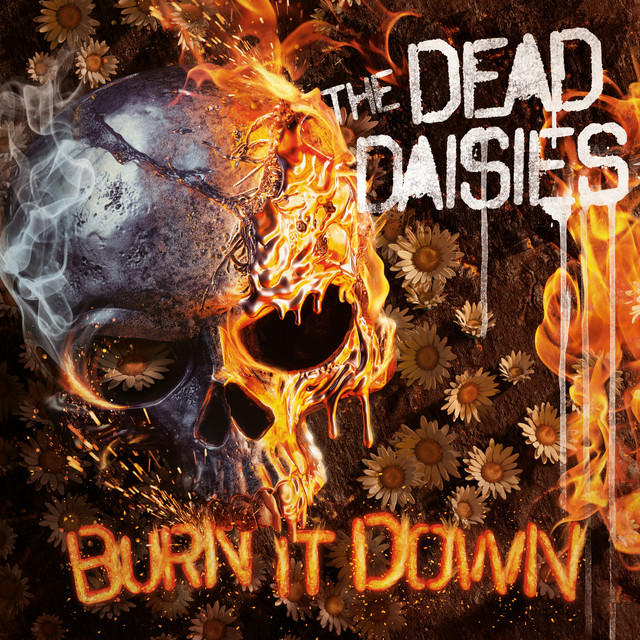 Burn It Down artwork