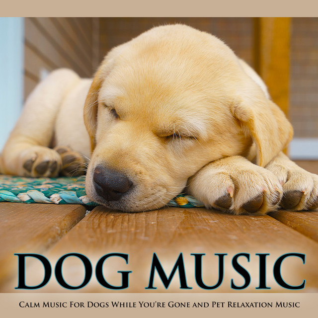 Dog Music album cover
