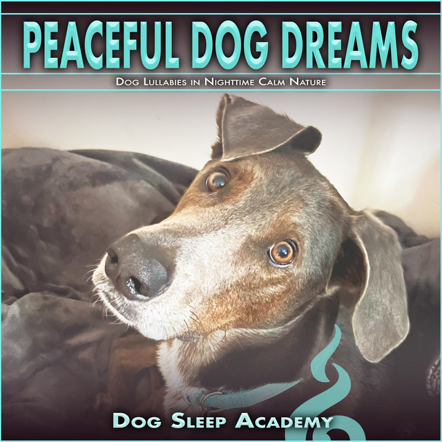 Peaceful Dog Dreams album cover