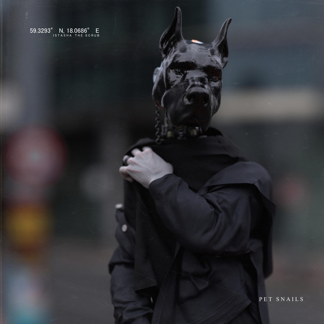 Check Your Spam Folder album cover art