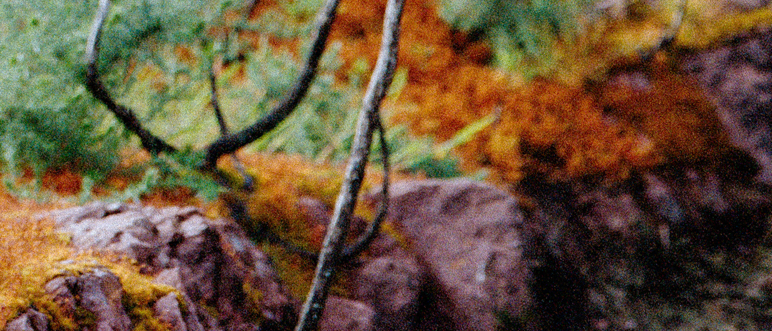 Fabiola Tickets Arlon (L'Entrepôt) on 4/30/2025 at 8:00 PM | Spotify