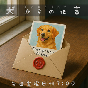 実践！犬のしつけ4つの鉄則｜カーミングシグナルを見逃すな｜犬からの伝言