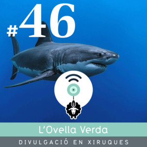 Podcast