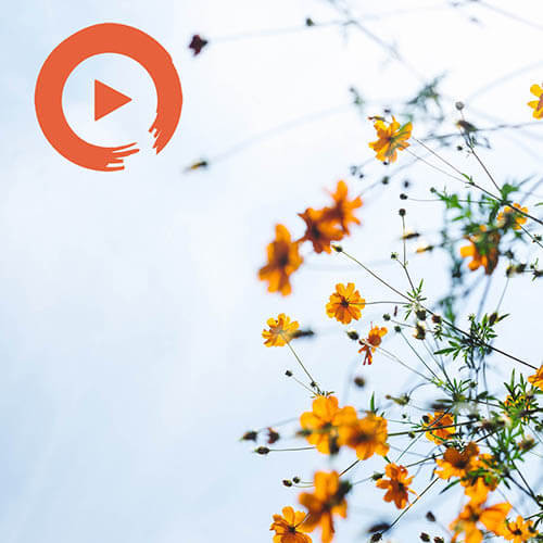 Clear Your Head by musicto | Listen on Spotify, Apple Music, YouTube Music & more